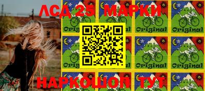 МДПВ Донецк